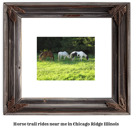 horse trail rides near me in Chicago Ridge, Illinois